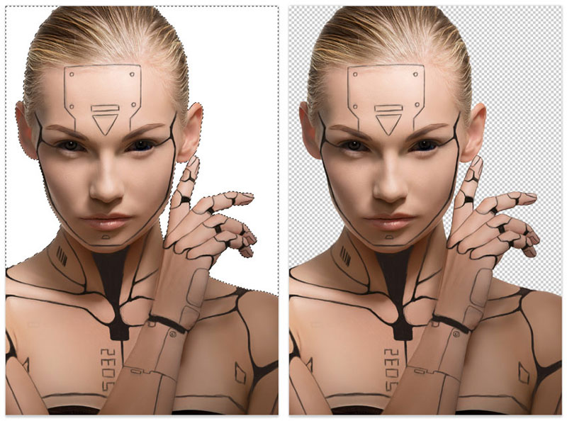 cyborg16.jpg