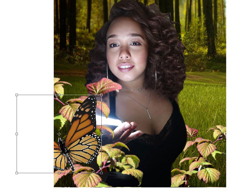 forestmel8.jpg