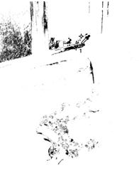 0927305.jpg