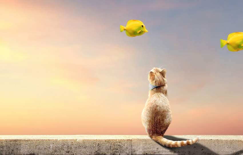 fishes3-1.jpg
