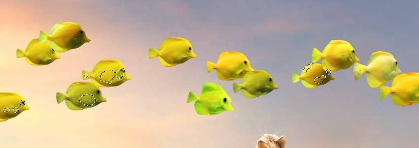 fishes3-3.jpg