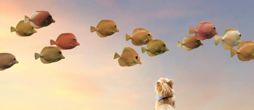 fishes3-4a.jpg