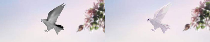 letter6-5.jpg