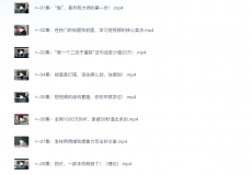 张策的短视频创作课（完结）