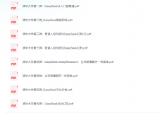 清华大学deepseek指南