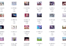 花了269，拷贝了一份质量不错的车载U盘，MP4+MP3  [40GB]