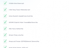 2024年度最佳歌曲 (滚石杂志版)