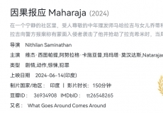 因果报应（2024）4K 【简英特效字幕】【印度高分电影】16.4GB