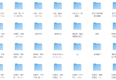 [ 花了298买来的资源 ] 490张音乐专辑合集【342G】 无损音质