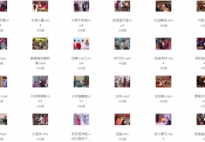 历届各大卫视春晚、综艺节目小品纯享合集 (210部)