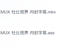 《少林寺》 李连杰 4K原盘REMUX 杜比视界 内封字幕